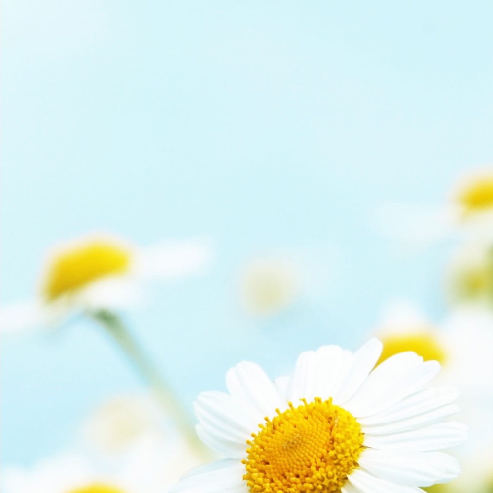 Meet your Posher, Lana